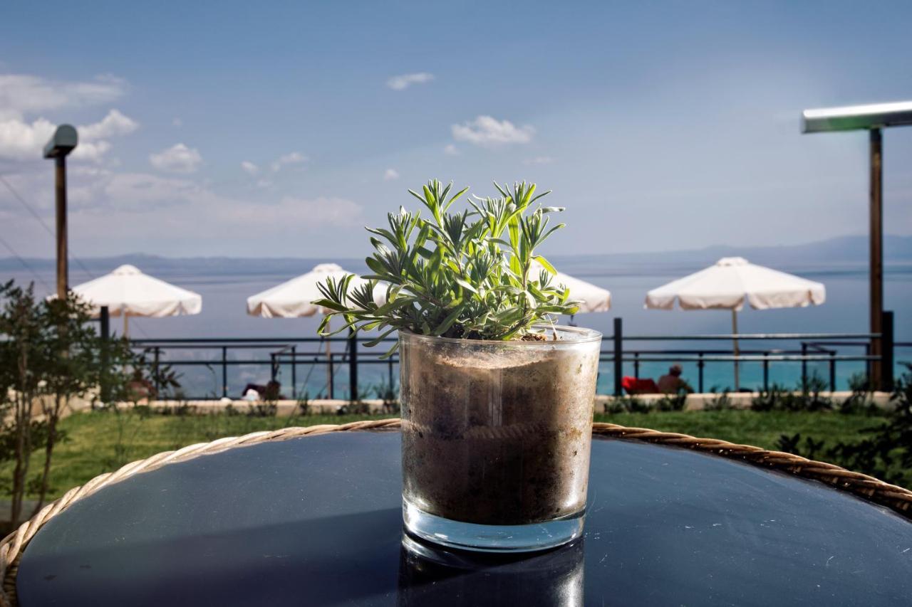 Rigas Boutique Hotel & Spa Afytos Ngoại thất bức ảnh